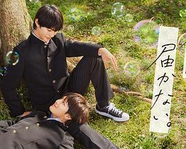 濮阳网站优化选哪家好